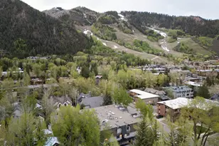 901 E Hyman Ave, Aspen, CO 81611 - Photo 17