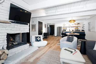 901 E Hyman Avenue #4, Aspen, CO 81611 - Photo 5