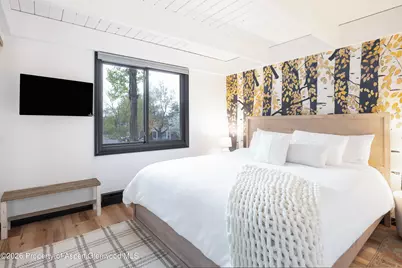 901 E Hyman Avenue #4, Aspen, CO 81611 - Photo 7