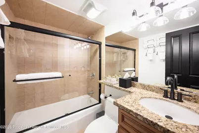 901 E Hyman Avenue #4, Aspen, CO 81611 - Photo 9