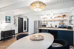 901 E Hyman Ave, Aspen, CO 81611 - Photo 5