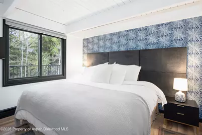 901 E Hyman Avenue #4, Aspen, CO 81611 - Photo 11