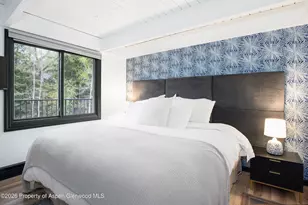 901 E Hyman Ave, Aspen, CO 81611 - Photo 11
