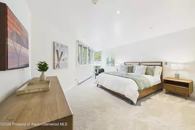 506 W Hallam Street, Aspen, CO 81611 - Photo 21