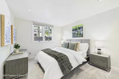506 W Hallam Street, Aspen, CO 81611 - Photo 23