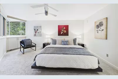 506 W Hallam Street, Aspen, CO 81611 - Photo 15