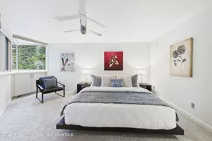 506 W Hallam St, Aspen, CO 81611 - Photo 15