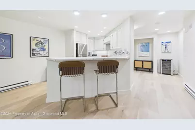 506 W Hallam Street, Aspen, CO 81611 - Photo 29