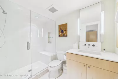 506 W Hallam Street, Aspen, CO 81611 - Photo 27