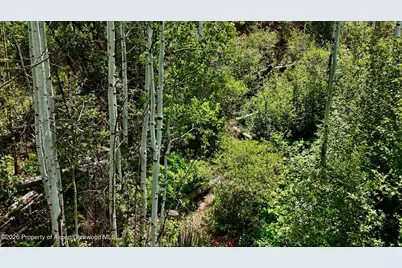 349 Crystal Circle, Carbondale, CO 81623 - Photo 7