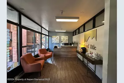 533 E Hopkins Ave #103, Aspen, CO 81611 - Photo 3
