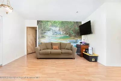 1900 Willits Lane #21, Basalt, CO 81621 - Photo 5