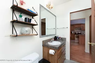 1900 Willits Ln, Basalt, CO 81621 - Photo 19