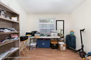 1900 Willits Ln, Basalt, CO 81621 - Photo 17