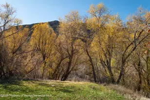 431 Park Ave, New Castle, CO 81647 - Photo 15