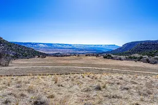 18726 Kimball Creek Rd, Collbran, CO 81624 - Photo 23