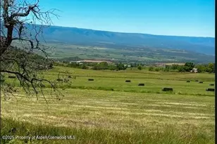 18726 Kimball Creek Rd, Collbran, CO 81624 - Photo 25