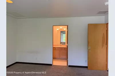 60 S 8th Street #301, Carbondale, CO 81623 - Photo 7