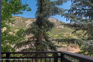 60 Carriage Way, Snowmass Village, CO 81615 - Photo 9