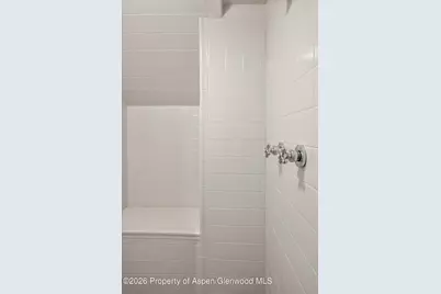 352 Faraway Road, Snowmass Village, CO 81615 - Photo 45