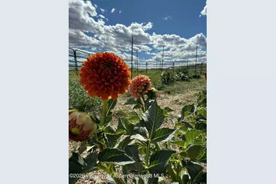 Lot 3 Solar Road, Montrose, CO 81403 - Photo 19