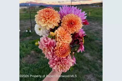 Lot 3 Solar Road, Montrose, CO 81403 - Photo 7