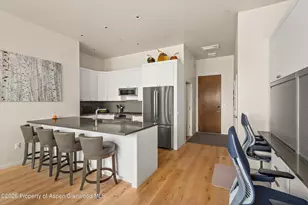 101 Willits Wy, Basalt, CO 81621 - Photo 13