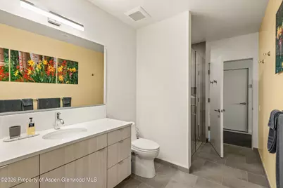 101 Willits Way #205, Basalt, CO 81621 - Photo 19