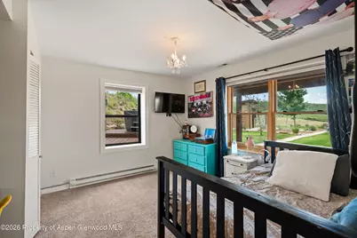 248 Basalt Mountain Drive, Carbondale, CO 81623 - Photo 23