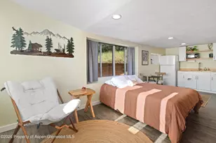 805 Red Mountain Dr, Glenwood Springs, CO 81601 - Photo 19