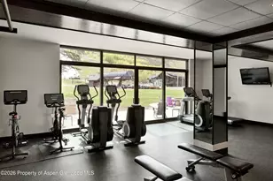 38750 Hwy 82, Aspen, CO 81611 - Photo 27