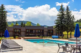 38750 Hwy 82, Aspen, CO 81611 - Photo 23