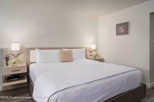 38750 Hwy 82, Aspen, CO 81611 - Photo 5