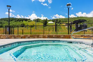38750 Hwy 82, Aspen, CO 81611 - Photo 19