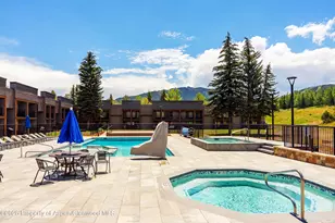 38750 Hwy 82, Aspen, CO 81611 - Photo 21