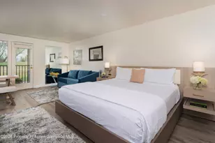 38750 Hwy 82, Aspen, CO 81611 - Photo 7