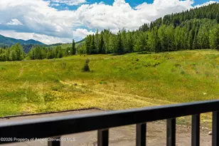 38750 Hwy 82, Aspen, CO 81611 - Photo 11