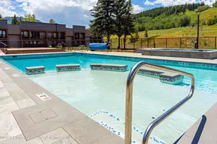 38750 Hwy 82, Aspen, CO 81611 - Photo 13
