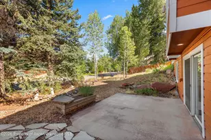 985 Lupine Cir, Basalt, CO 81621 - Photo 27