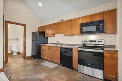 225 Juniper Court, Basalt, CO 81621 - Photo 27