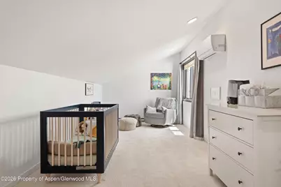 450 Solar Way, Aspen, CO 81611 - Photo 31