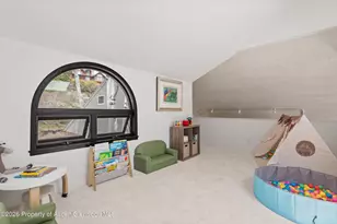 450 Solar Way, Aspen, CO 81611 - Photo 23