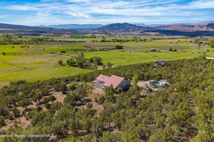 49991 Eagles Way, Mesa, CO 81643 - Photo 9