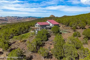 49991 Eagles Way, Mesa, CO 81643 - Photo 5