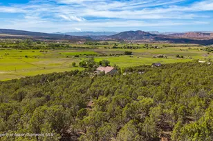 49991 Eagles Way, Mesa, CO 81643 - Photo 7