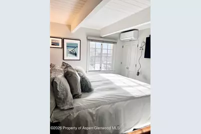 630 E Cooper Avenue #20, Aspen, CO 81611 - Photo 17