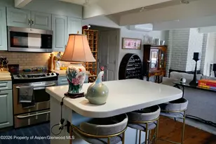630 E Cooper Ave, Aspen, CO 81611 - Photo 9