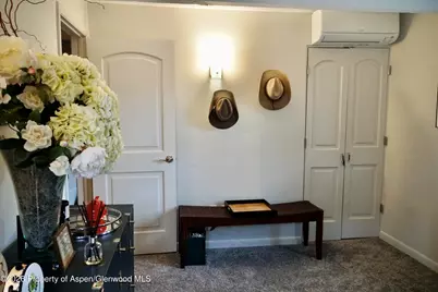 630 E Cooper Avenue #20, Aspen, CO 81611 - Photo 23