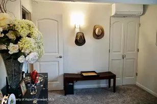 630 E Cooper Ave, Aspen, CO 81611 - Photo 23