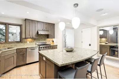 100 N 8th Street #20, Aspen, CO 81611 - Photo 5